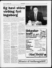 Síða 3