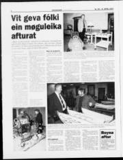 Síða 6