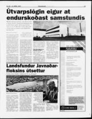 Síða 13