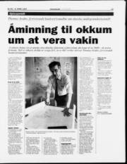 Síða 15