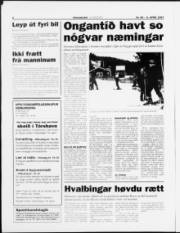 Síða 8