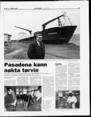 Síða 13