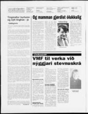 Síða 2