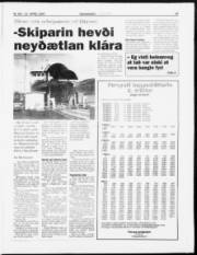 Síða 19