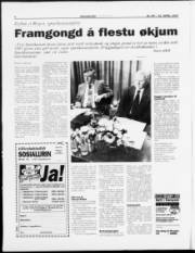 Síða 6
