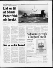 Síða 7