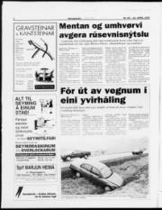 Síða 8