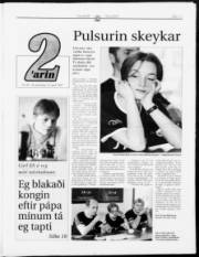 Síða 11