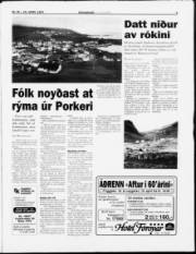 Síða 3