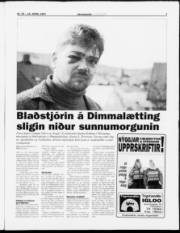 Síða 7