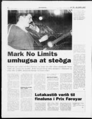 Síða 8