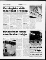 Síða 11