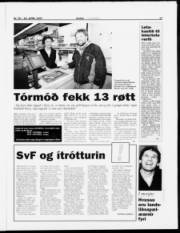 Síða 17