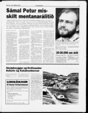 Síða 3