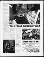 Síða 3