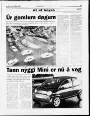 Síða 17
