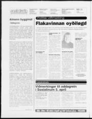 Síða 2