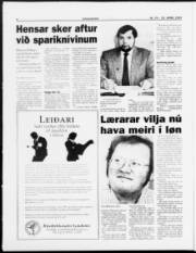 Síða 8