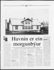 Síða 16