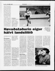 Síða 19