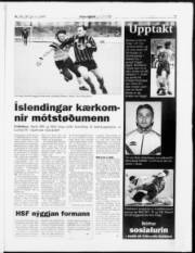 Síða 21