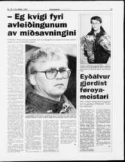 Síða 17