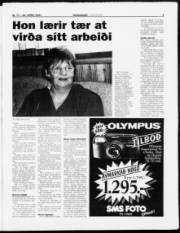 Síða 3