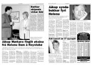 Síða 3