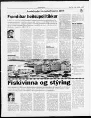 Síða 8