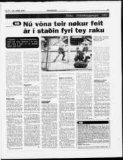 Síða 21