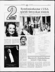 Síða 13