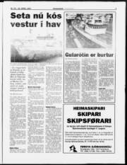 Síða 3