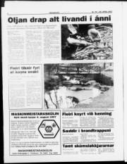 Síða 6