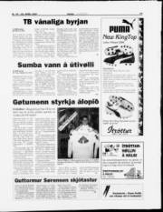 Síða 15