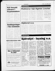 Síða 22