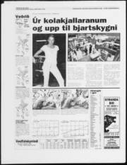 Síða 28
