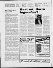 Síða 2