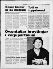 Síða 20