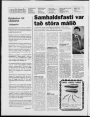 Síða 2