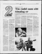 Síða 13