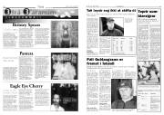 Síða 11