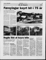 Síða 19