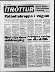 Síða 19