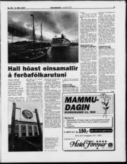 Síða 3