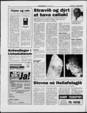 Síða 6