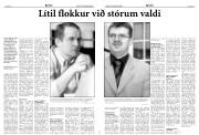 Síða 5