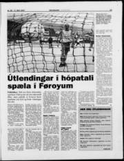 Síða 23