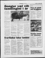 Síða 6