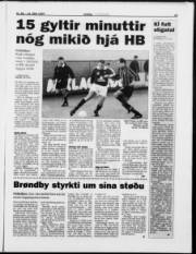 Síða 13