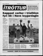 Síða 17